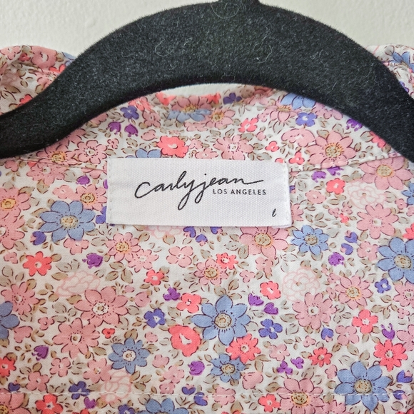 CJLA Barbara Floral Button Up Shirt Dress Pink and Blue Size Large Button Mini - Picture 6 of 13